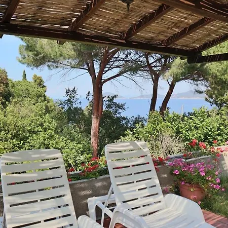 Casa Del Mare - Oasi A 100m Dal Mare! شقة مارتْشانا مارينا