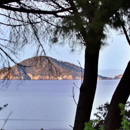 公寓 Casa Del Mare - Oasi A 100m Dal Mare! *